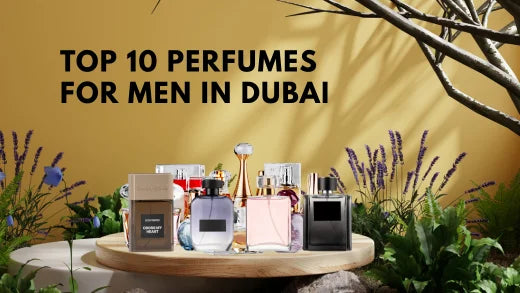 Top 10 Perfumes for Men in Dubai | Scentories